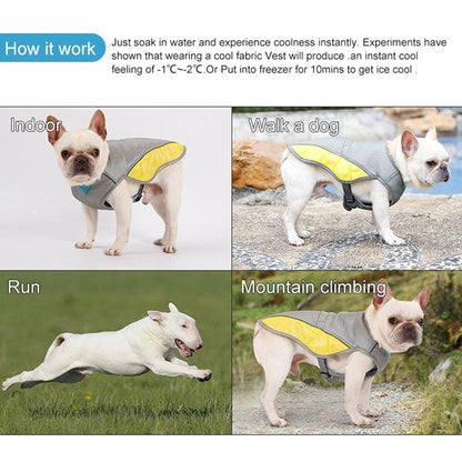 Coolify™ : Kühlweste für Frenchie (CS13) | Brehn
