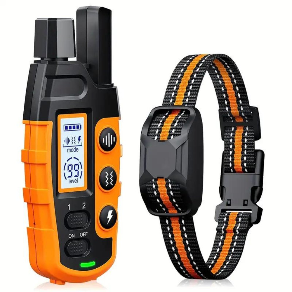 ProTrain • Hunde Trainingshalsband