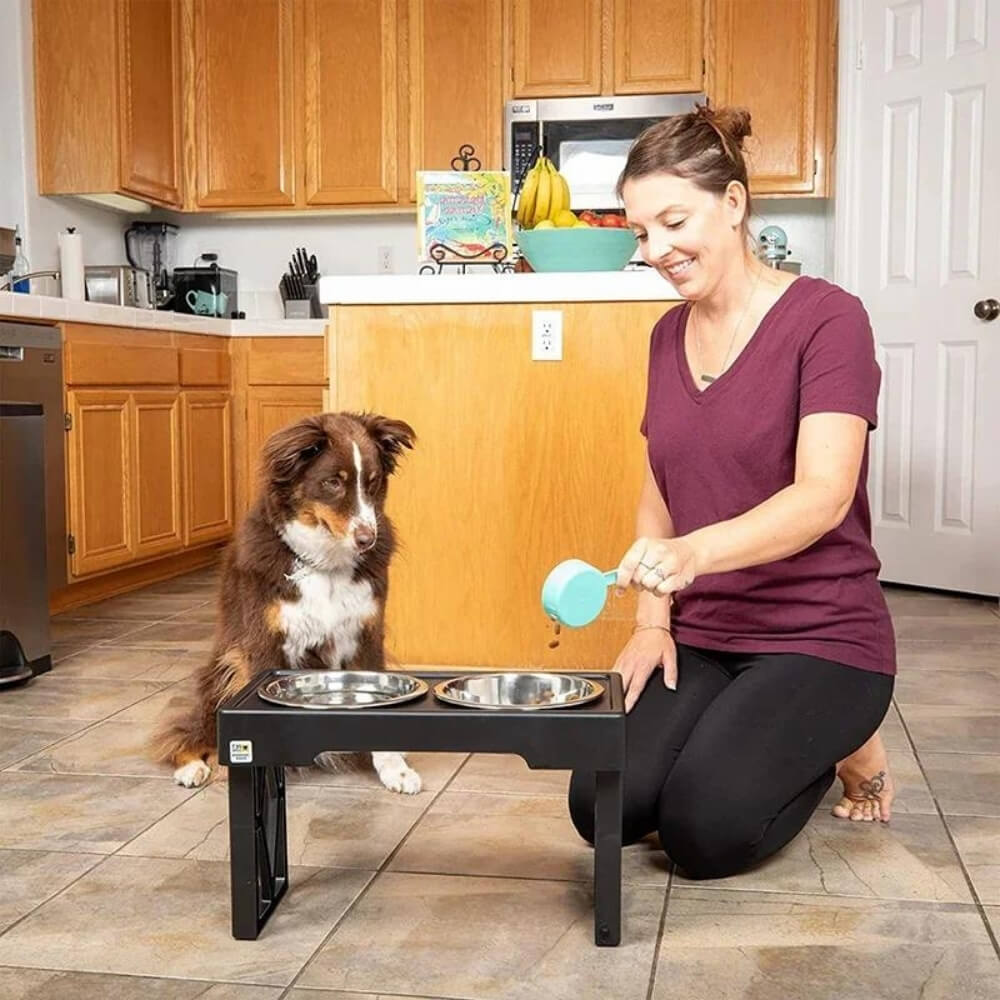 PupLift Erhöhter Fressnapf für Hunde – Ergonomisch & langsames Fressen für gesunde Mahlzeiten | Brehn