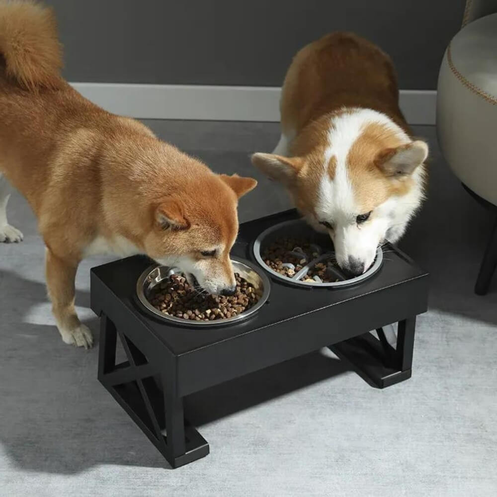 PupLift Erhöhter Fressnapf für Hunde – Ergonomisch & langsames Fressen für gesunde Mahlzeiten | Brehn