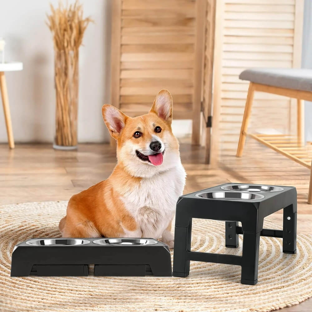 PupLift Erhöhter Fressnapf für Hunde – Ergonomisch & langsames Fressen für gesunde Mahlzeiten | Brehn