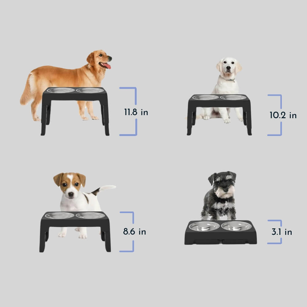 PupLift Erhöhter Hundenapf – Ergonomisch & Langsame Fütterung für Gesunde Mahlzeiten | Brehn