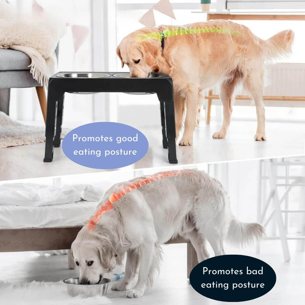PupLift Erhöhter Fressnapf für Hunde – Ergonomisch & langsames Fressen für gesunde Mahlzeiten | Brehn