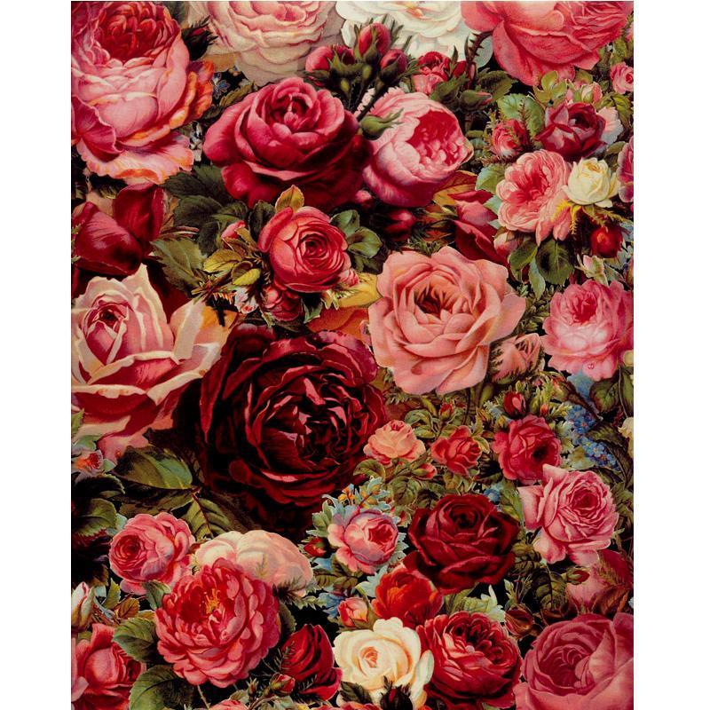 Rose Universe - Van-Go Malen-nach-Zahlen Set | Brehn