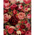 Rose Universe - Van-Go Malen-nach-Zahlen Set | Brehn