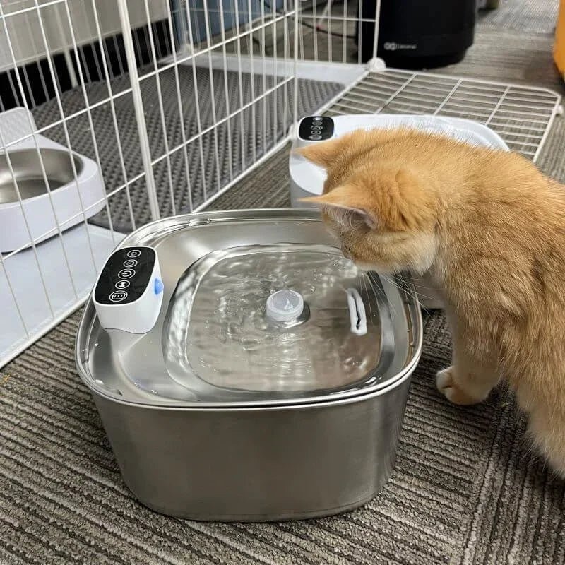 Smart Drinking Fountain für Katzen und Hunde – 3,2L Edelstahl mit Filter | Brehn