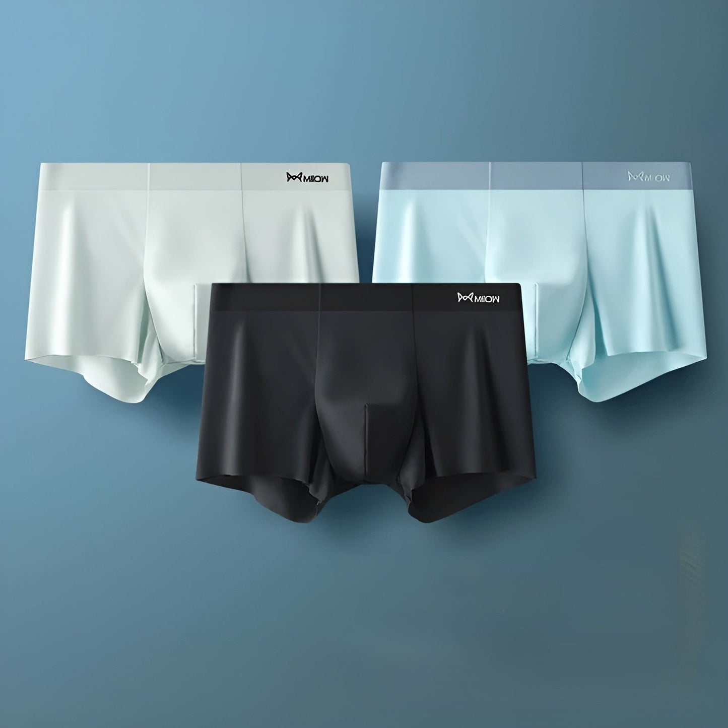 Nahtlose Herren-Boxershorts - Leo
