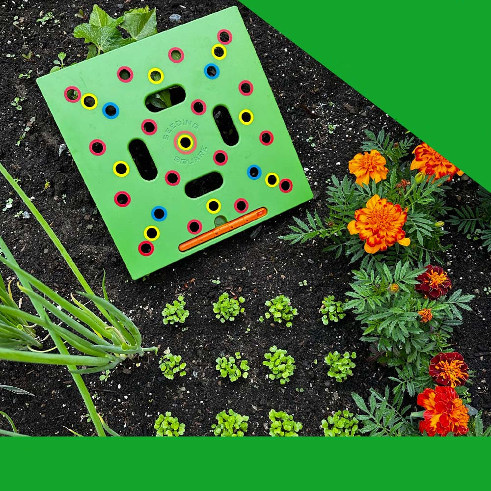 Brehn | GardenLux Elite Saatgut Pflanzen Set | Transformieren Sie Ihr Gartenerlebnis mit Expertenrat und hochwertigen Werkzeugen