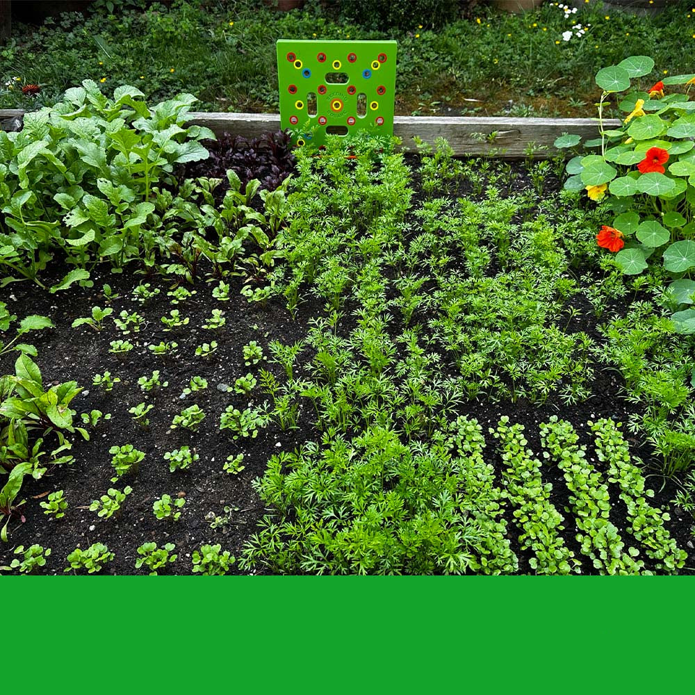 Brehn | GardenLux Elite Saatgut Pflanzen Set | Transformieren Sie Ihr Gartenerlebnis mit Expertenrat und hochwertigen Werkzeugen