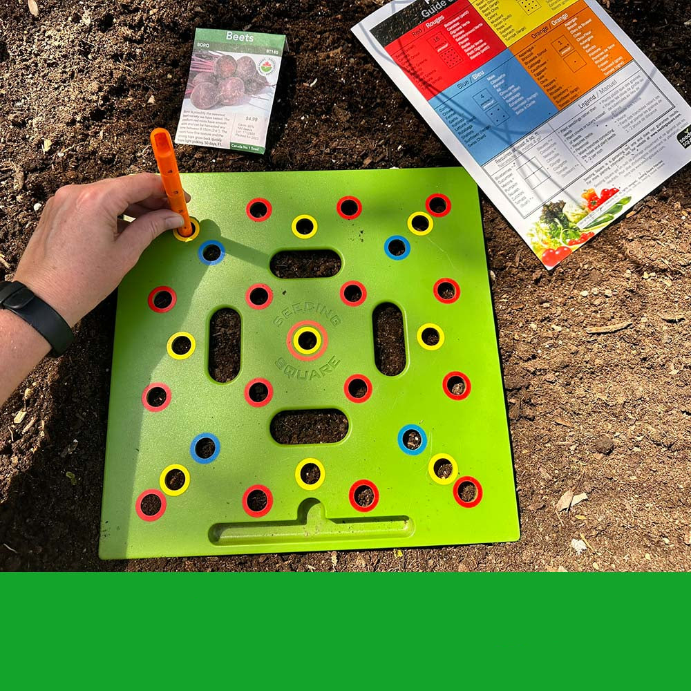 Brehn | GardenLux Elite Saatgut Pflanzen Set | Transformieren Sie Ihr Gartenerlebnis mit Expertenrat und hochwertigen Werkzeugen
