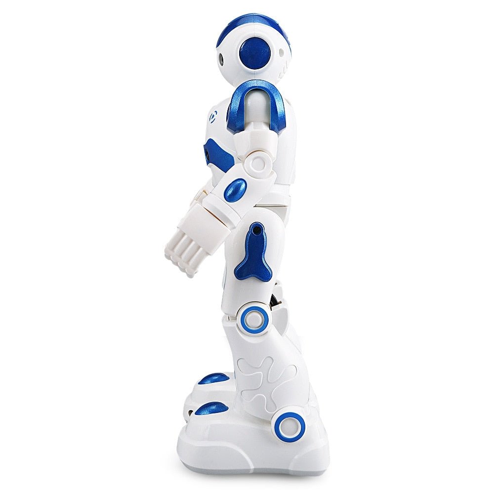 Intelligenter Roboter, intelligentes Spielzeug