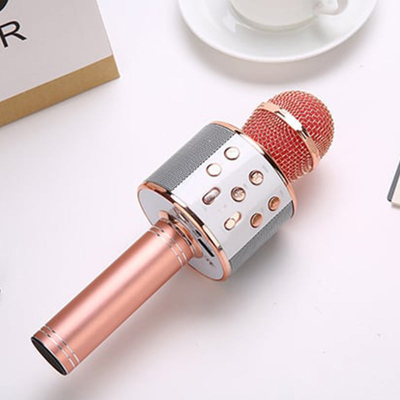 Kabelloses Karaoke-Mikrofon mit Bluetooth | Brehn