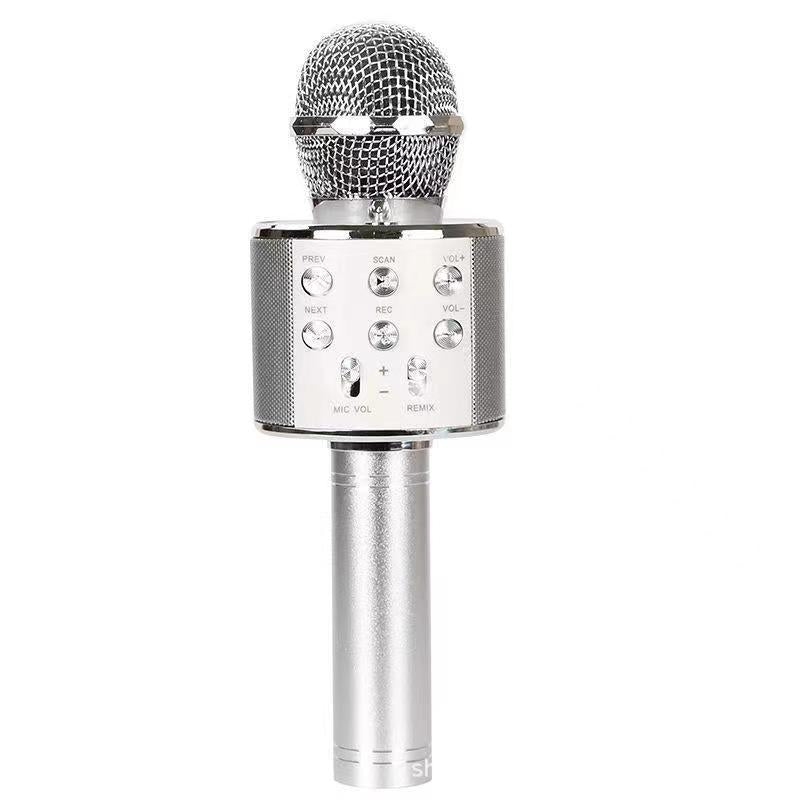 Sing Anywhere: Das ultimative kabellose Karaoke-Mikrofon!