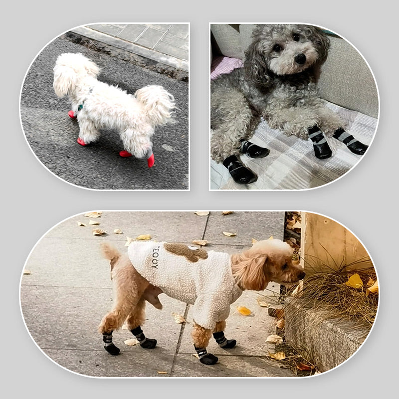 Brehn | PawSocks Bequemer Pfotenschutz