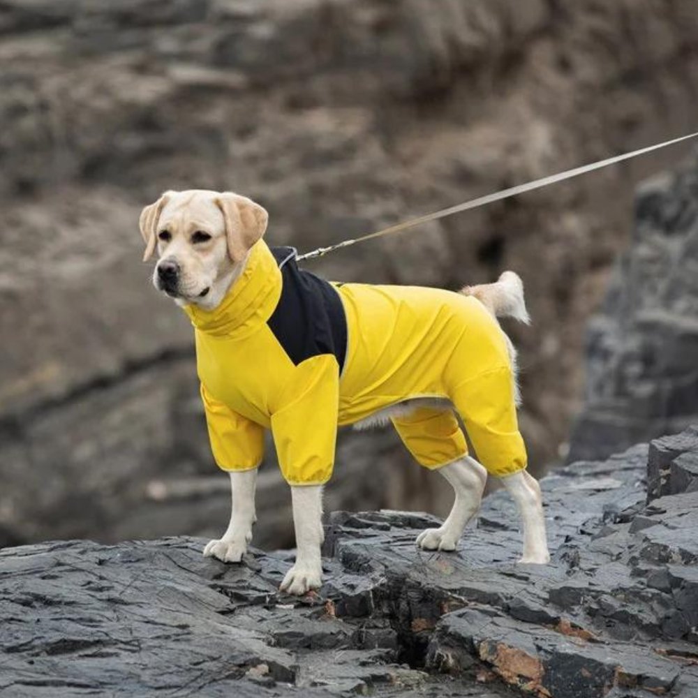 StormGuard • Hund wasserdichte Regenjacke