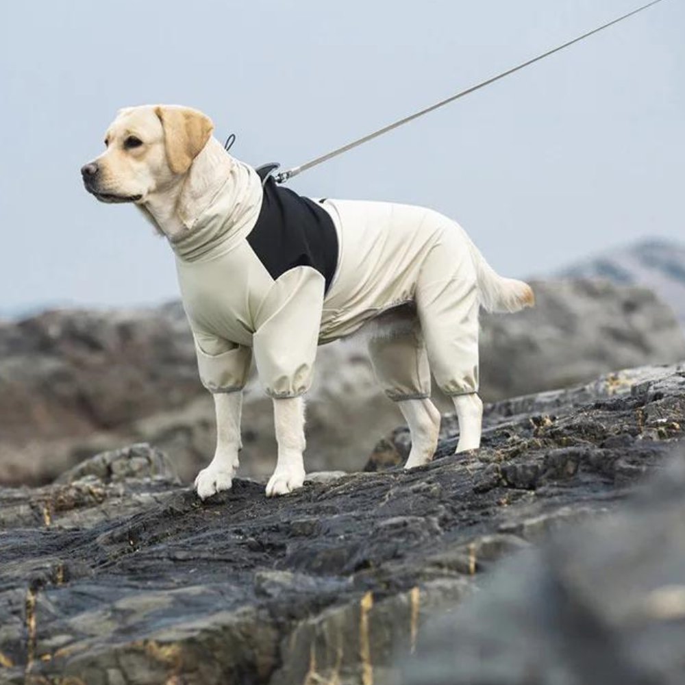 StormGuard • Hund wasserdichte Regenjacke
