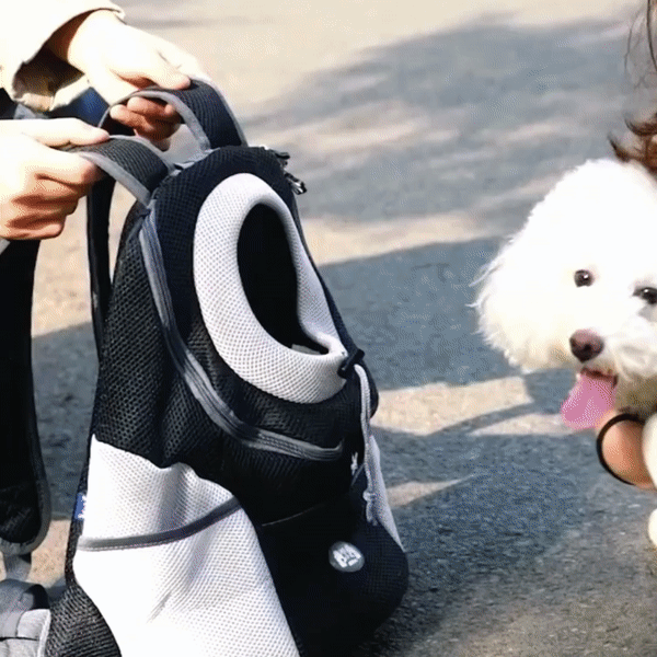 Brehn | PawCarry – Gemeinsam überall unterwegs