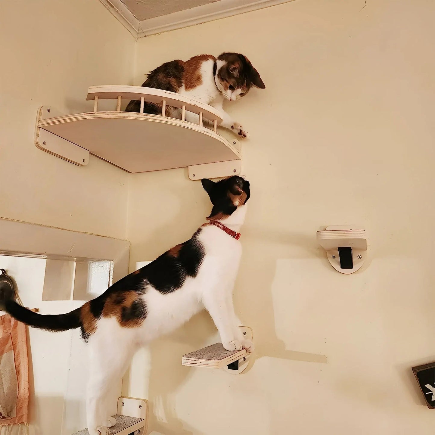 Brehn | Kletterbrett für Katzen mit Kratzbaum - ClimbPaws