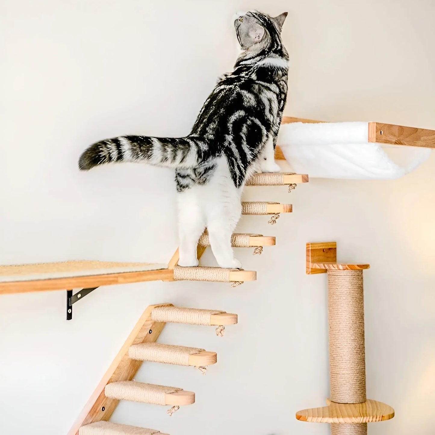 Brehn | Kletterbrett für Katzen mit Kratzbaum - ClimbPaws