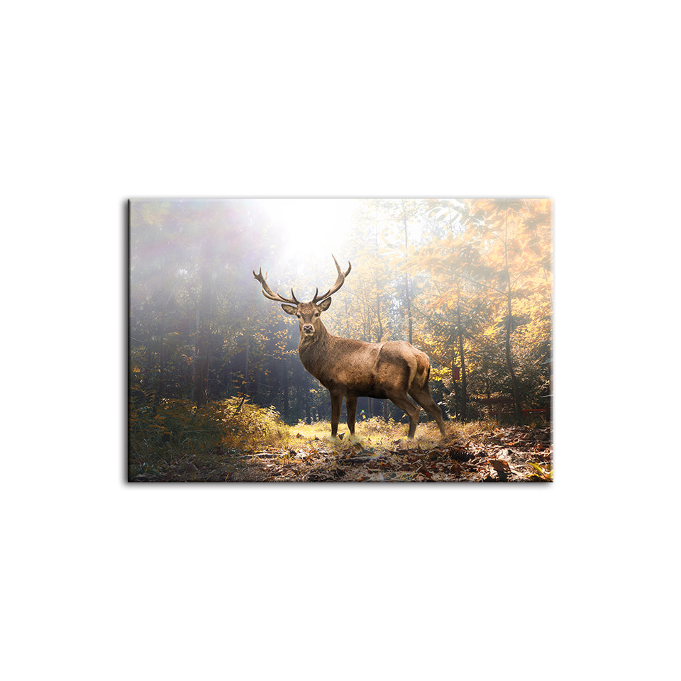 Majestätischer Hirsch Im Wald - Leinwand Wandkunst Malerei