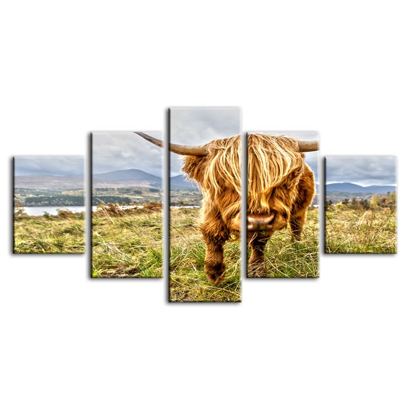 5 Stück Wild Cow - Leinwand Wandkunst Gemälde