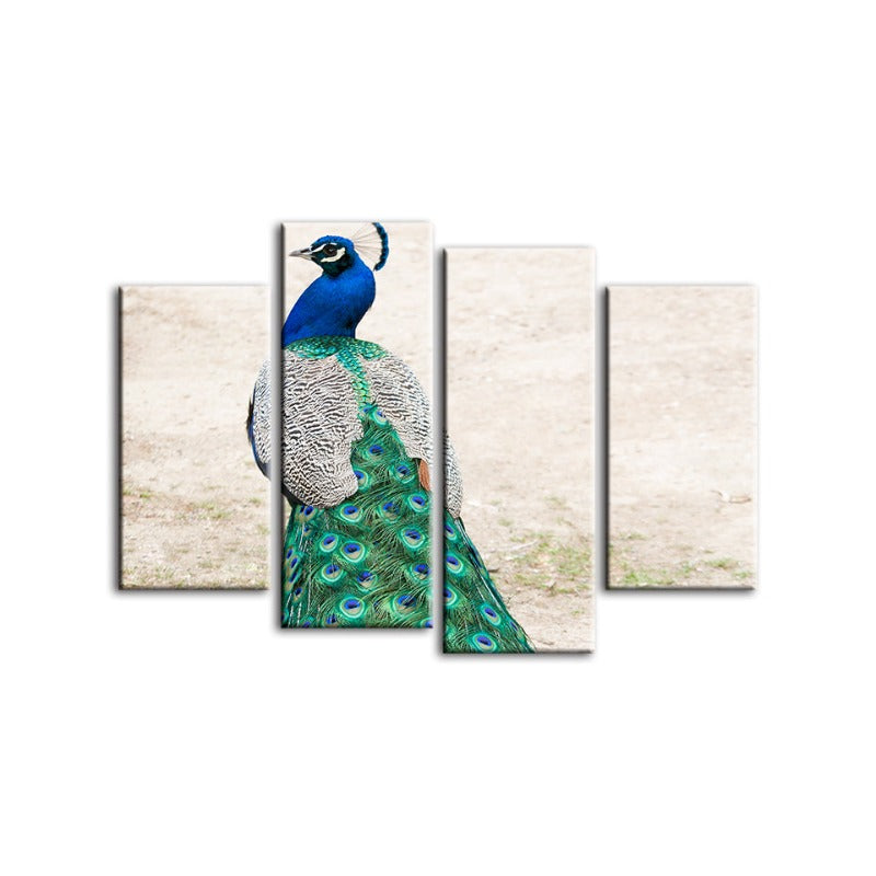 4-teilige Rock Elegante Pfau - Leinwand Wandkunst Malerei