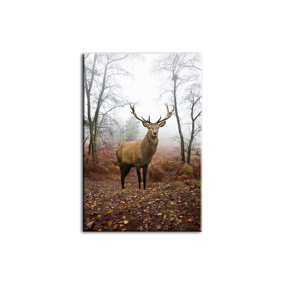 Herbstlicher Hirsch im Nebel - Leinwandbild