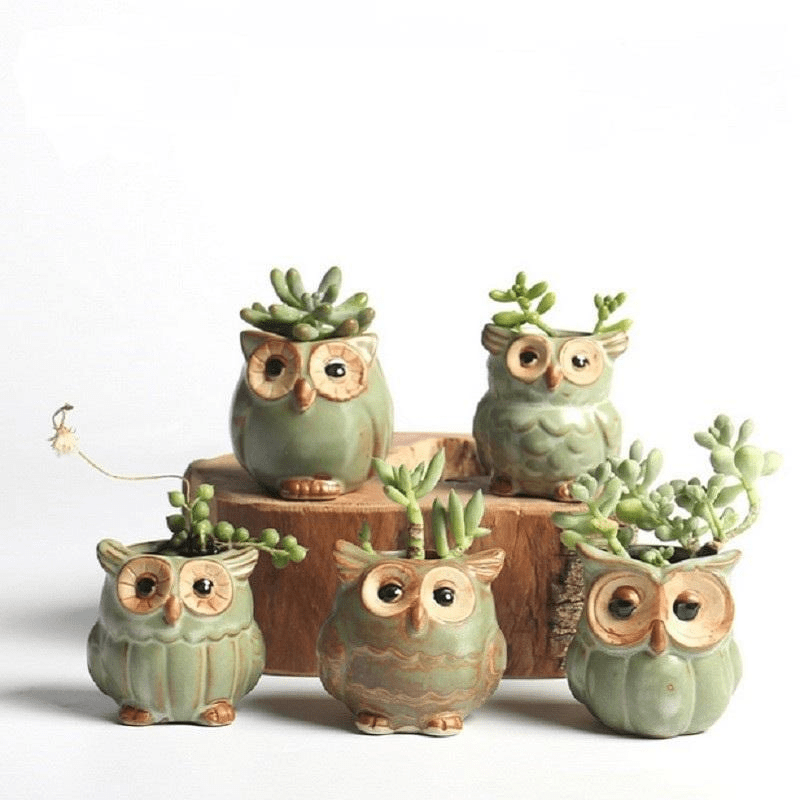 Brehn | Eulen Keramischer Blumentopf Set 5-teilig