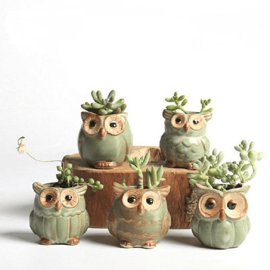 Brehn | Eulen Keramischer Blumentopf Set 5-teilig