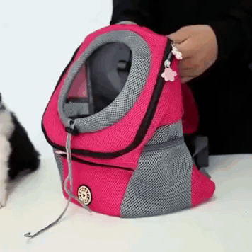 Brehn | PawCarry – Gemeinsam überall unterwegs